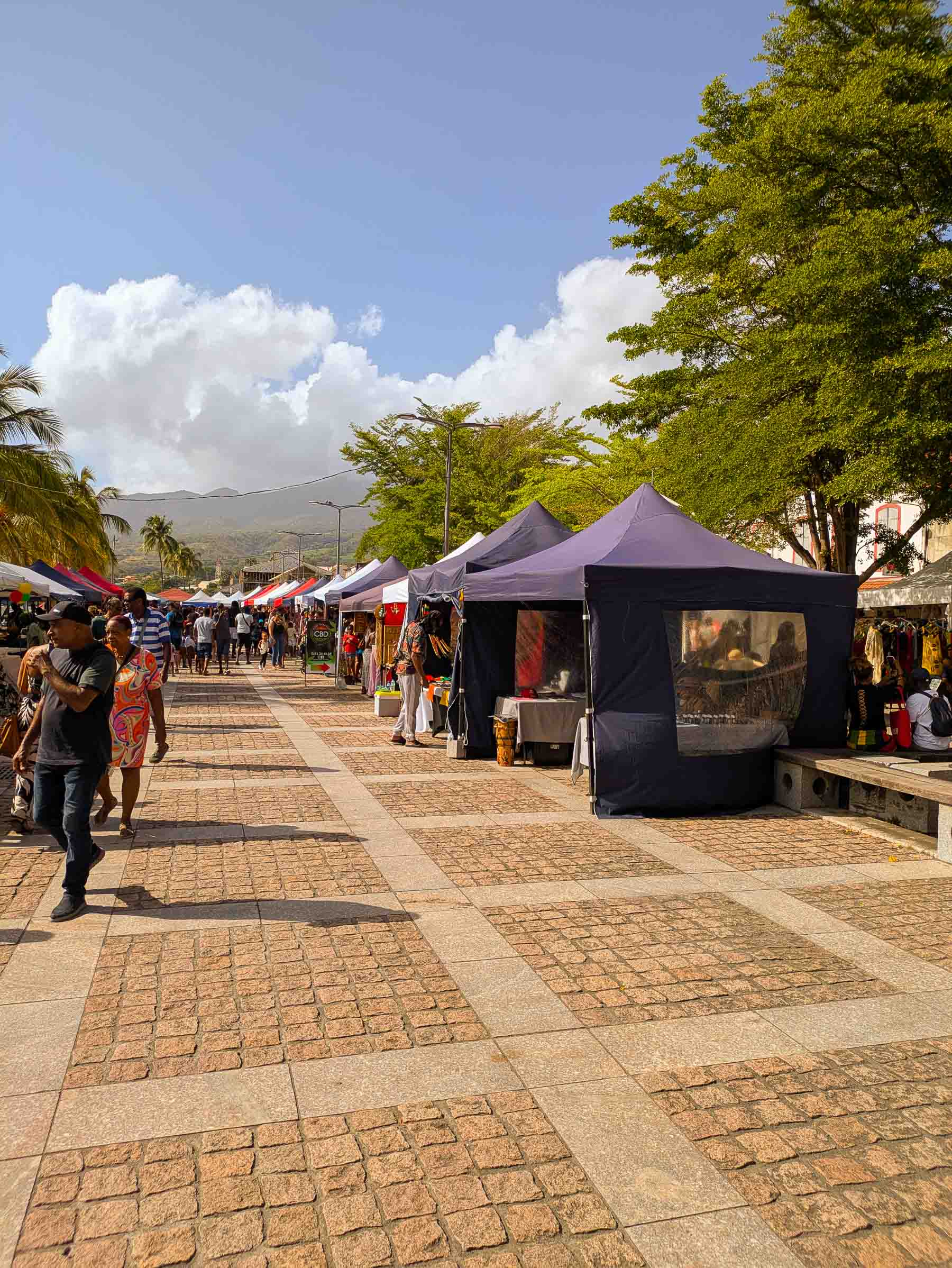 🌿 Saint-Pierre : Immersion vibrante au cœur du Marché Rasta